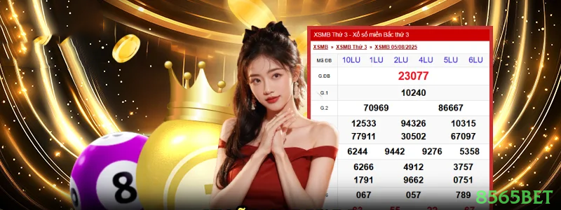 Controles de paJogonto e BRL em 8565bet